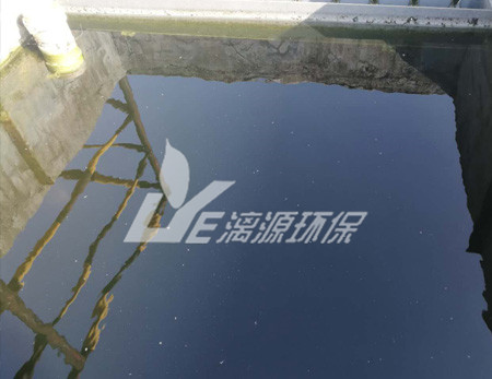 化工污水處理的污泥脫水技術(shù)有哪些？