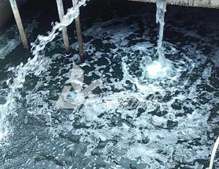松香廢水處理技術(shù)，可以快速達(dá)標(biāo)