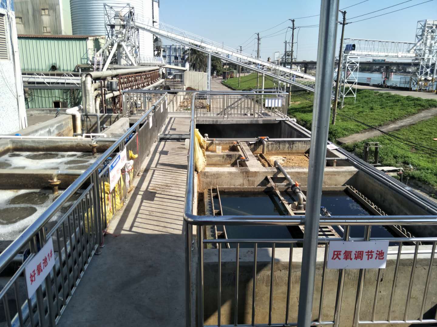 食品廢水植物處理技術(shù)，你知道嗎？