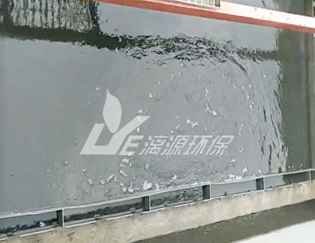 肉類(lèi)食品屠宰污水處理